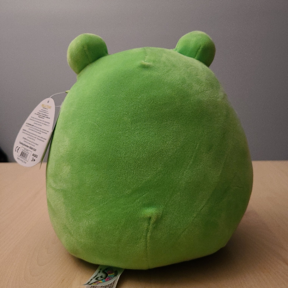 Squishmallows 8” Wendy Frog *RARE* HTF NWT - Picture 2 of 4